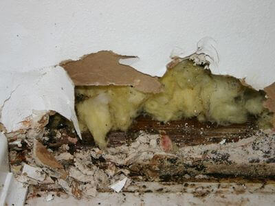 About Ironclad Restoration - water damage restoration experts in Northolt